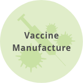 Vaccine Manufacture